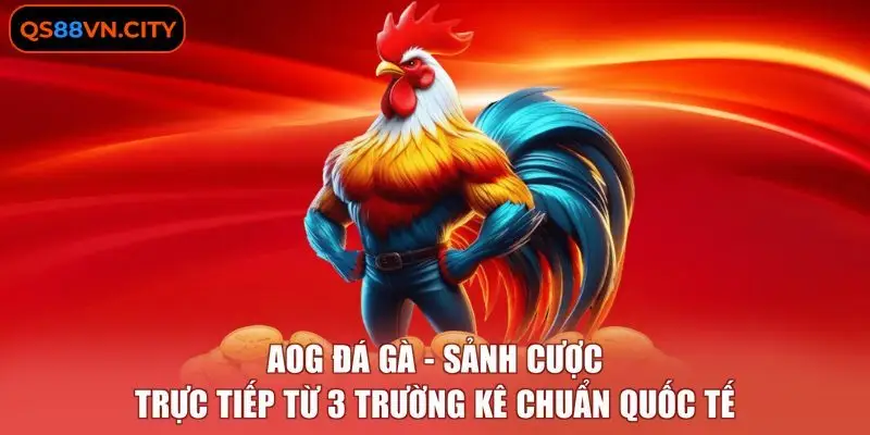 AOG Đá Gà - Sảnh Cược Trực Tiếp Từ 3 Trường Kê Chuẩn Quốc Tế