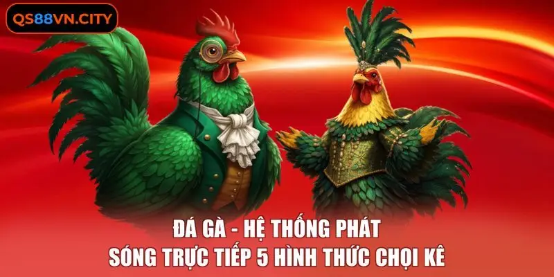 Đá Gà - Hệ Thống Phát Sóng Trực Tiếp 5 Hình Thức Chọi Kê