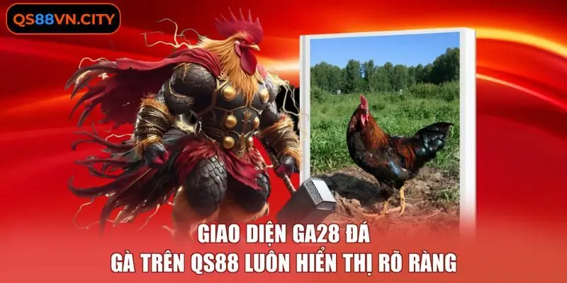 Giao diện GA28 đá gà trên QS88 luôn hiển thị rõ ràng.