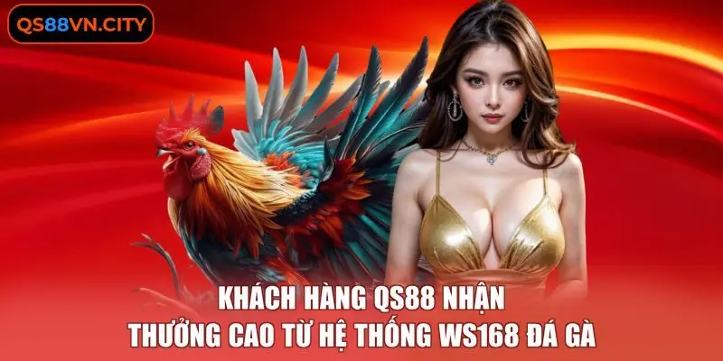 Khách hàng QS88 nhận thưởng cao từ hệ thống WS168 đá gà