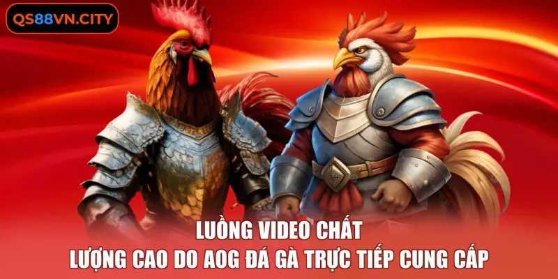 Luồng video chất lượng cao do AOG đá gà trực tiếp cung cấp