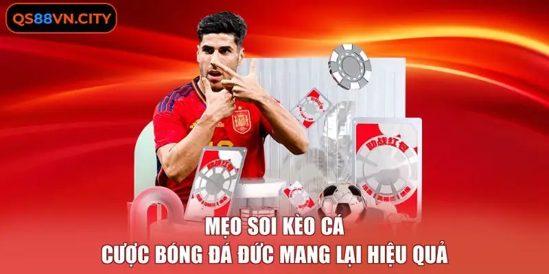 Mẹo soi kèo cá cược bóng đá Đức mang lại hiệu quả