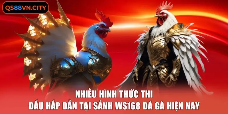 Nhiều hình thức thi đấu hấp dẫn tại sảnh WS168 đá gà hiện nay